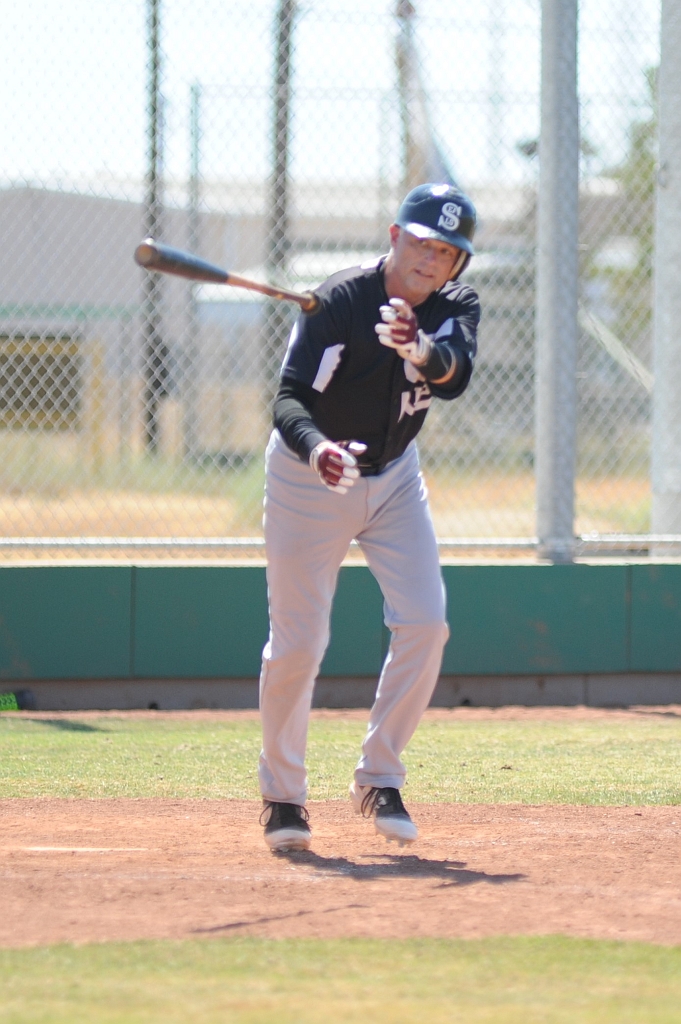 Seals_2019-08-25 (298).JPG - (c)2010 DeVetter